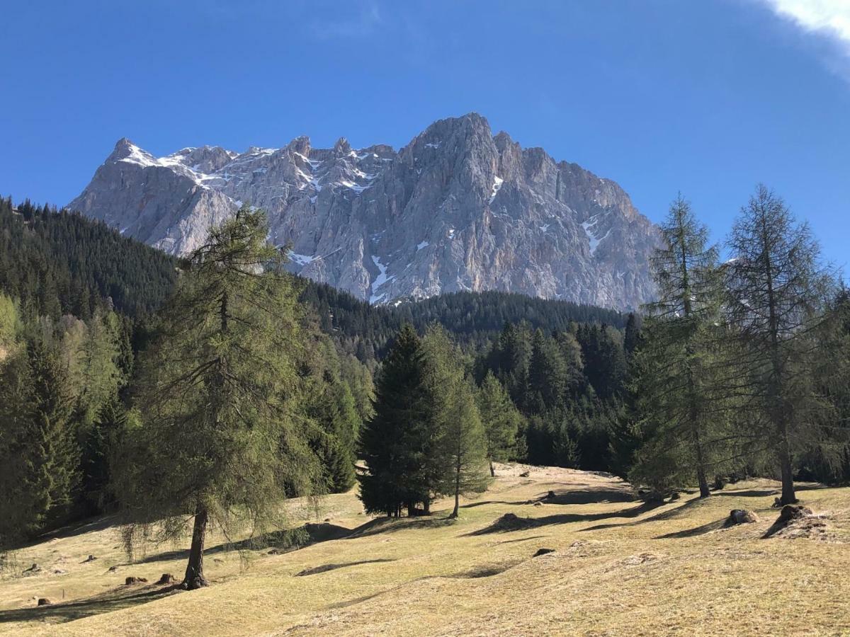 Das Halali - Dein Kleines Hotel An Der Zugspitze 埃尔瓦尔德 外观 照片