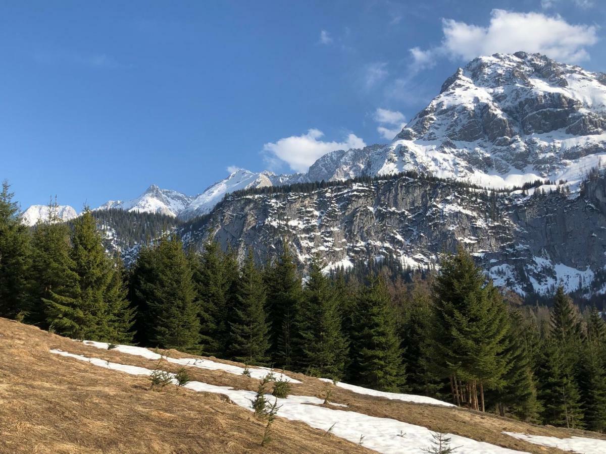 Das Halali - Dein Kleines Hotel An Der Zugspitze 埃尔瓦尔德 外观 照片